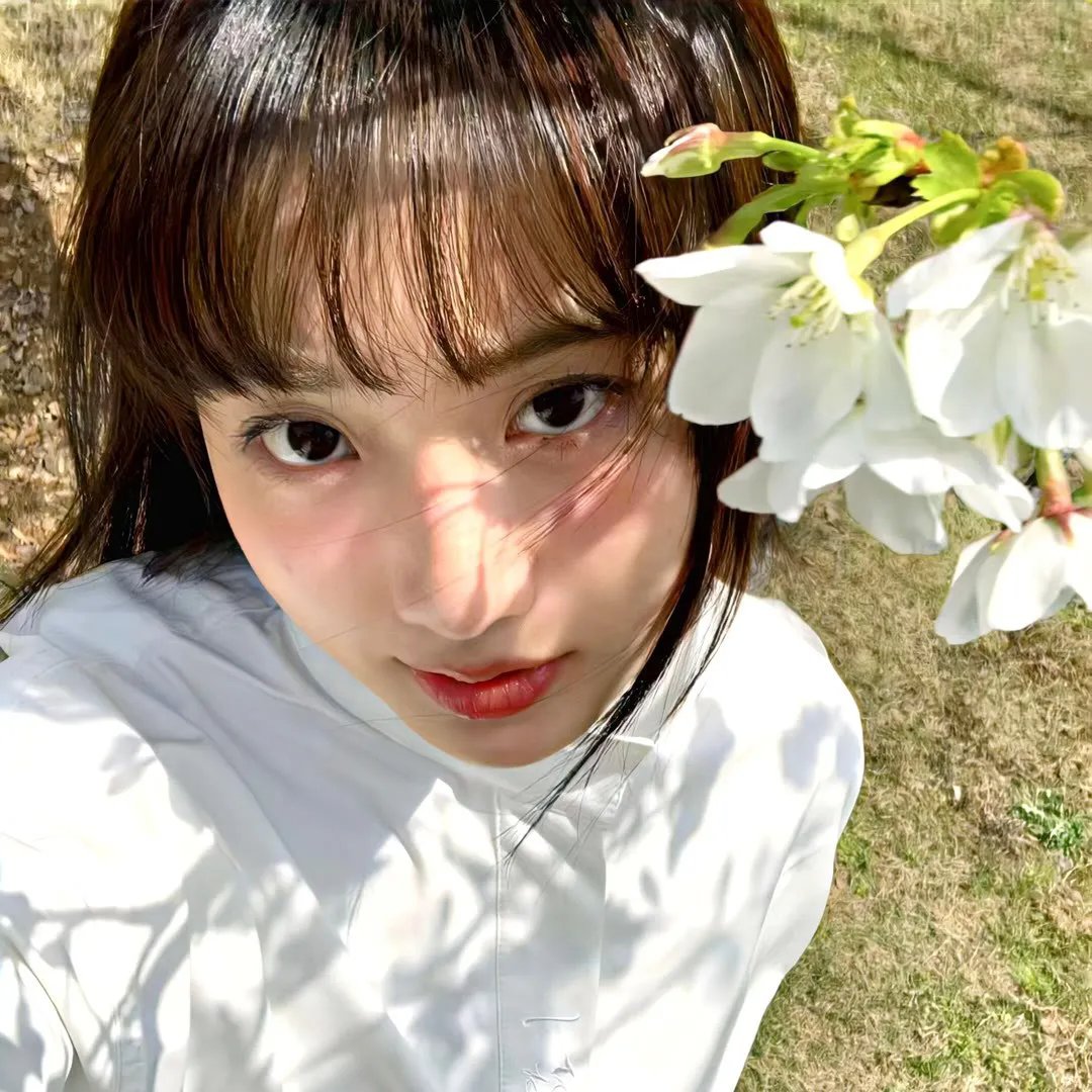 孤星血泪