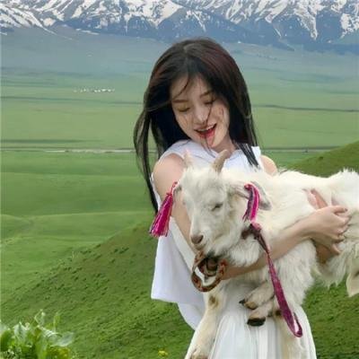 沉默的目击者